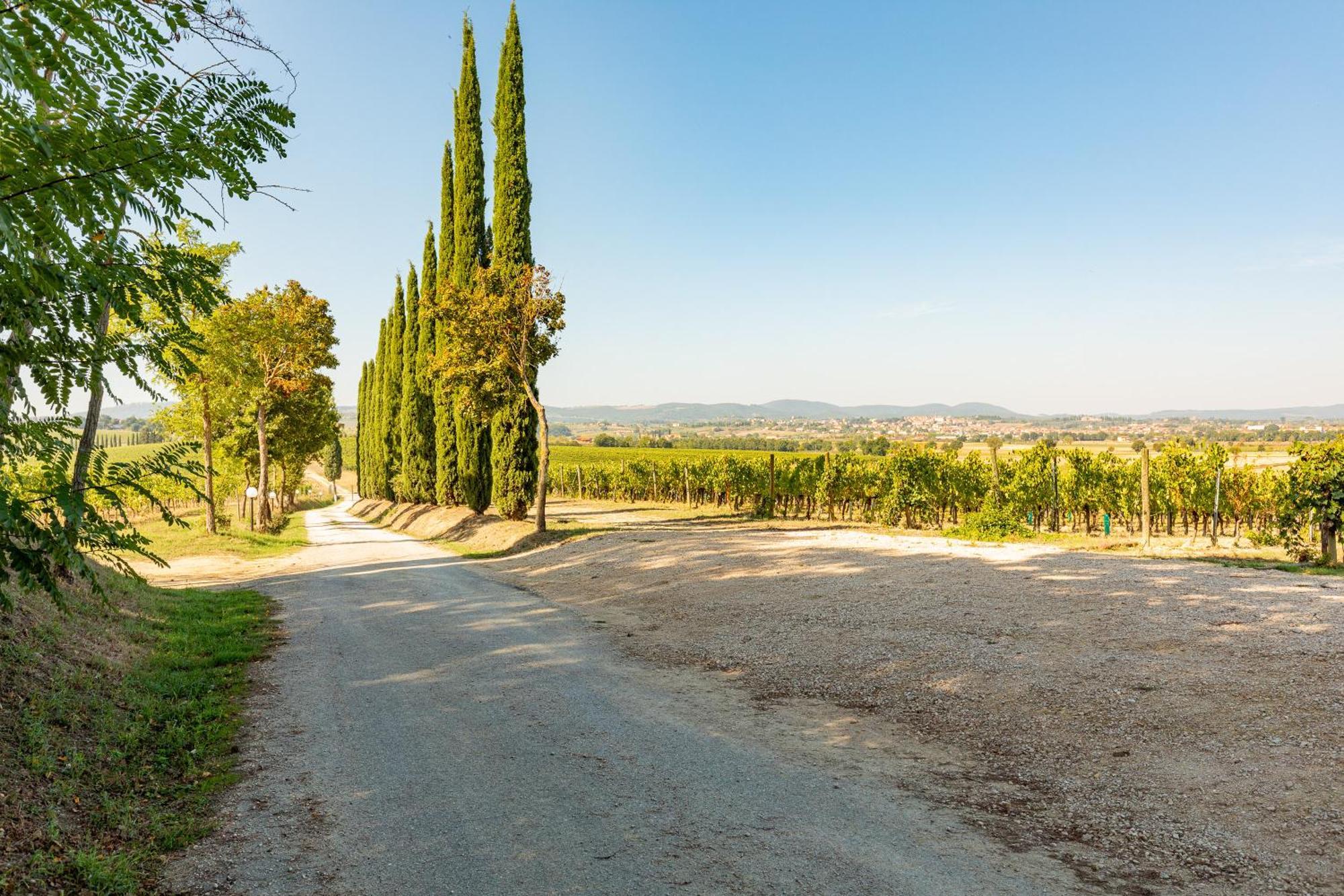 Appartamento Greppino Montepulciano Stazione 外观 照片